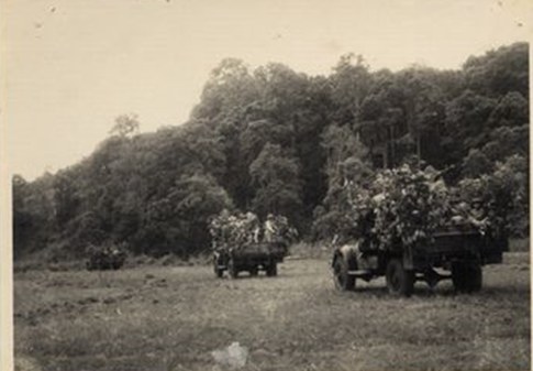 Motorized transport forces playing a key role in battlefield transportation